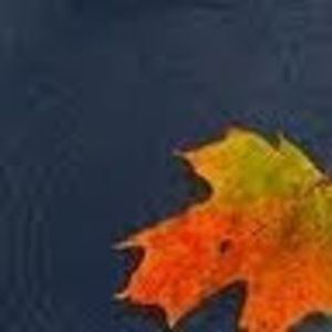 Meet your Posher, Jean-paul